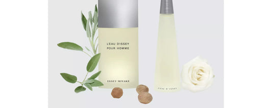 Issey Miyake Cologne Review: Scent Profile, Longevity & Projection Guide The Beauty Store