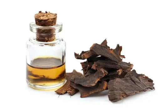 The Best Oud Perfume: Top Picks for Luxurious, Long-Lasting Scents The Beauty Store