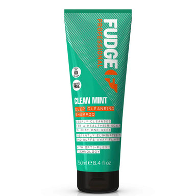 FUDGE Clean Mint Deep Cleansing Shampoo 250ml Fudge