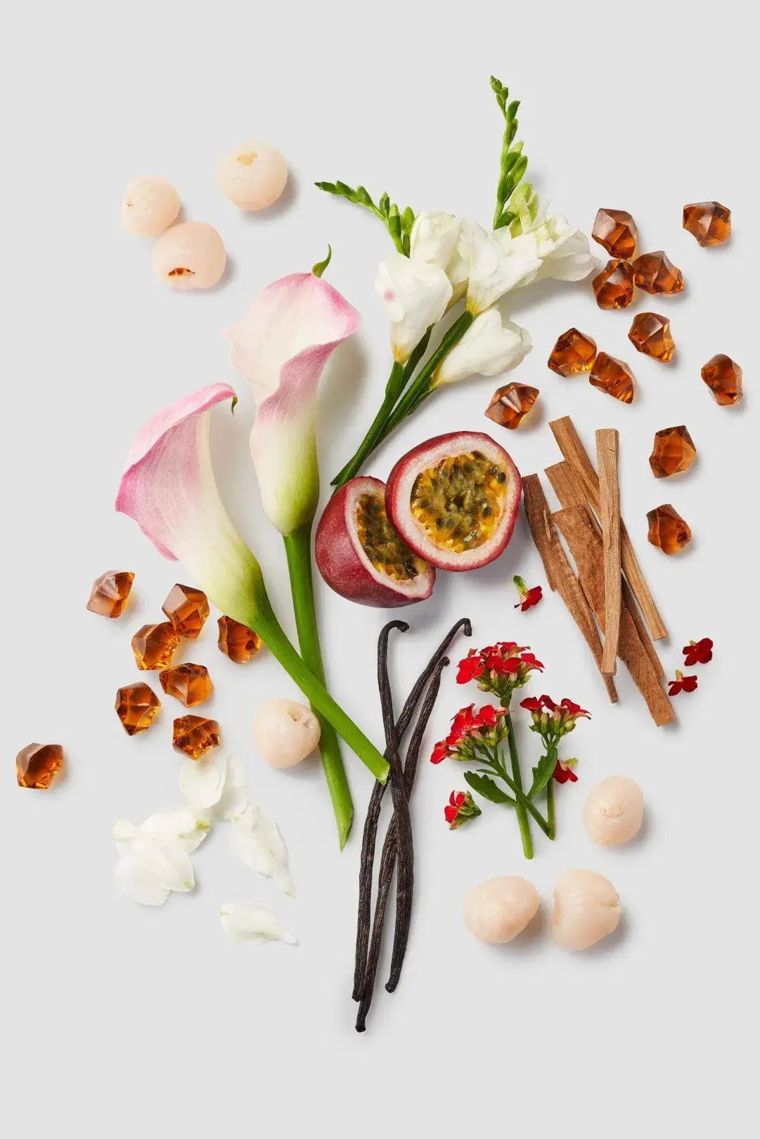 Kylie Minogue Darling Eau de Parfum Spray 75ml for Her Kylie Minogue