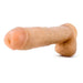 Hung Rider 14 Inch Large Realistic Dildo Blush Novelties