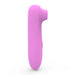 Loving Joy 10 Function Clitoral Suction Vibrator Pink Loving Joy