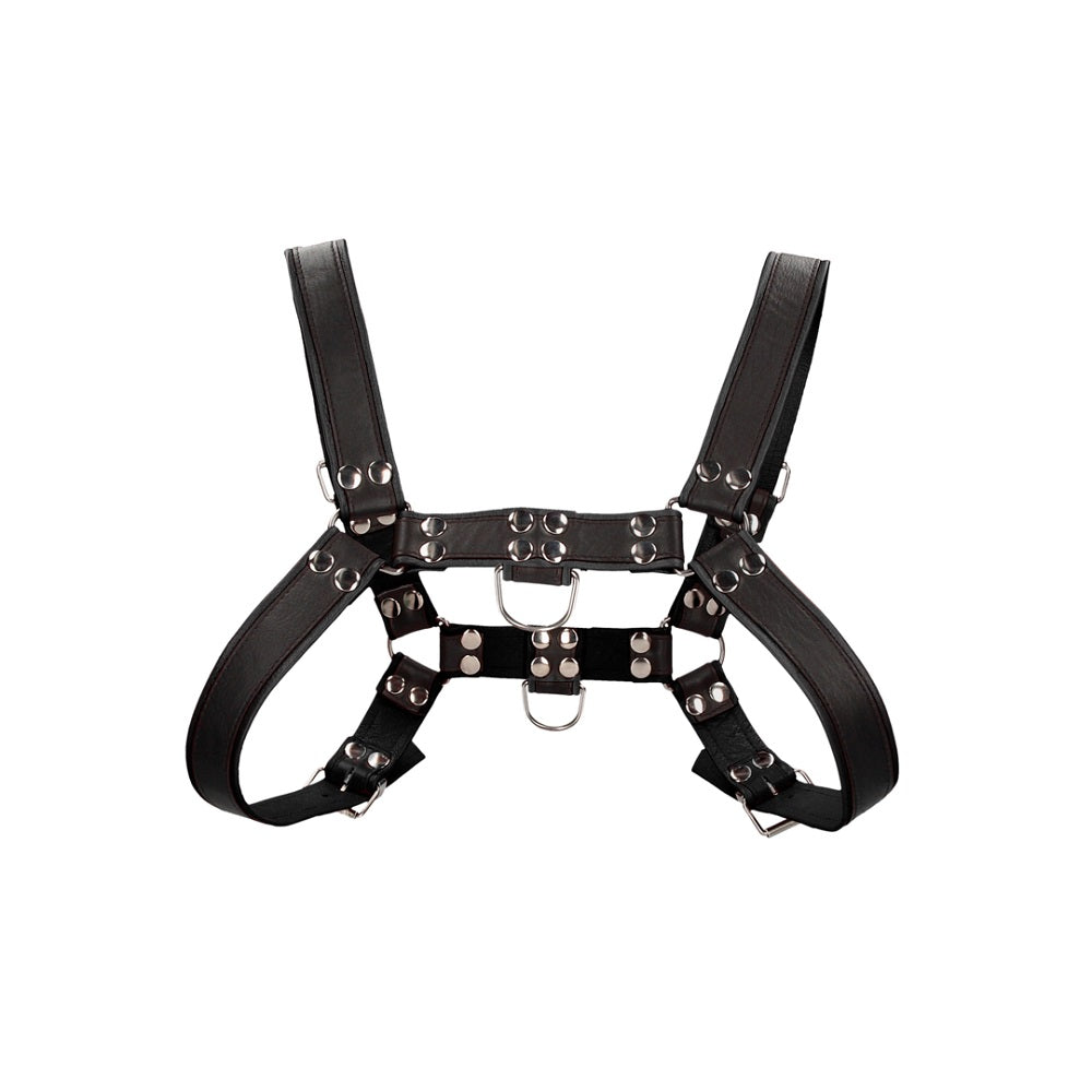 Bulldog Leather Chest Harness - L/XL Shots Toys