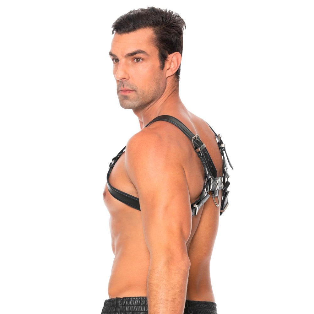 Bulldog Leather Chest Harness - S/M Shots Toys